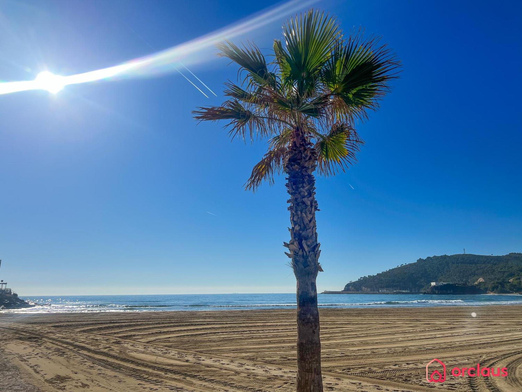 Cala Concha Apartment Oropesa del Mar Ngoại thất bức ảnh